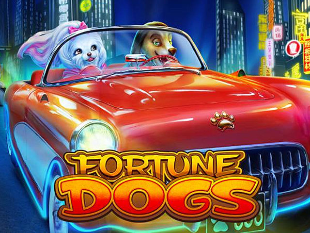 Fortune Dogs darmowy automat do gry